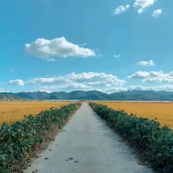 풍경 사진 잘 찍는 방법 꿀팁_4