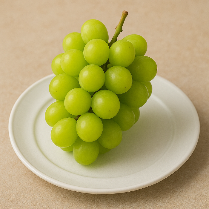 세인메스켓효능 관련 사진