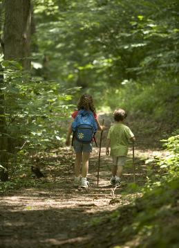 초등학생 자기주도 학습
