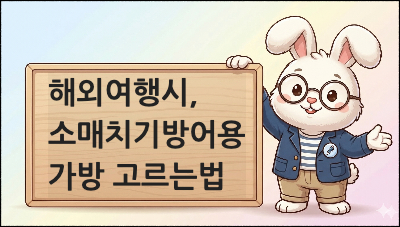해외여행시,소매치기방어용 가방 고르는 법