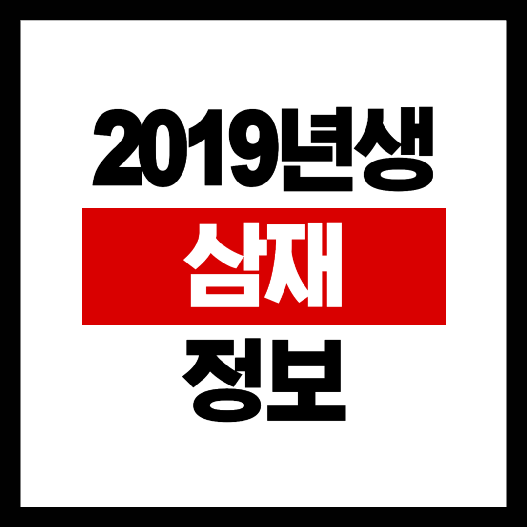 2019년생 삼재