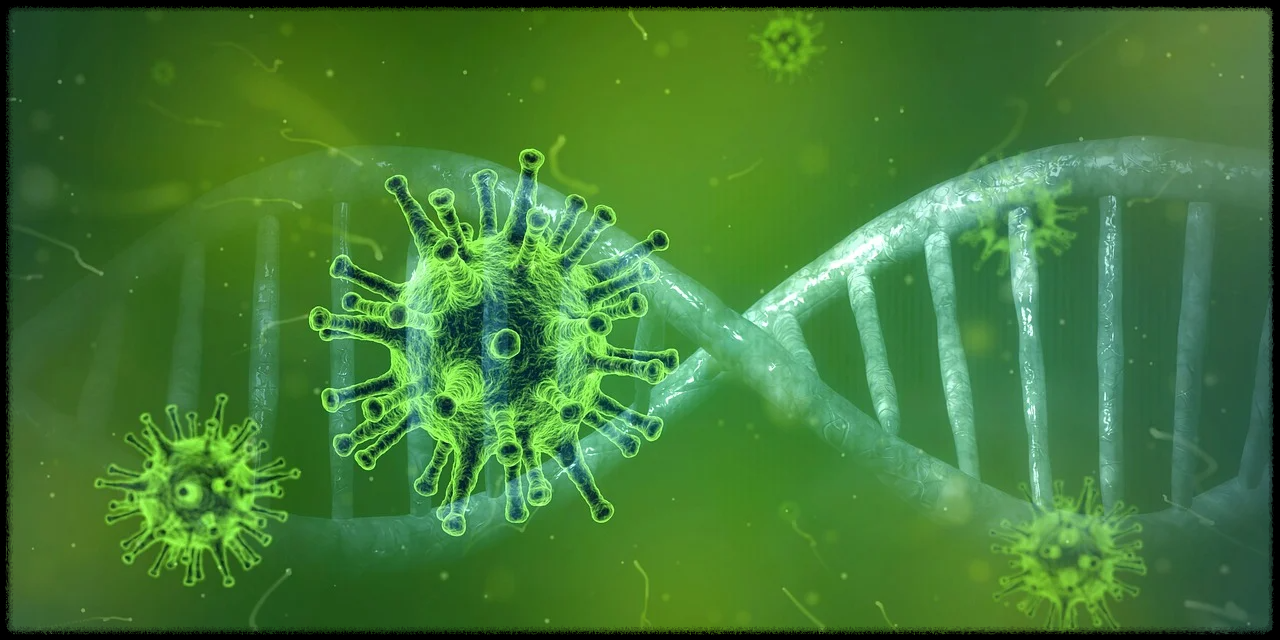 코로나 접종 장소 및 기간 안내