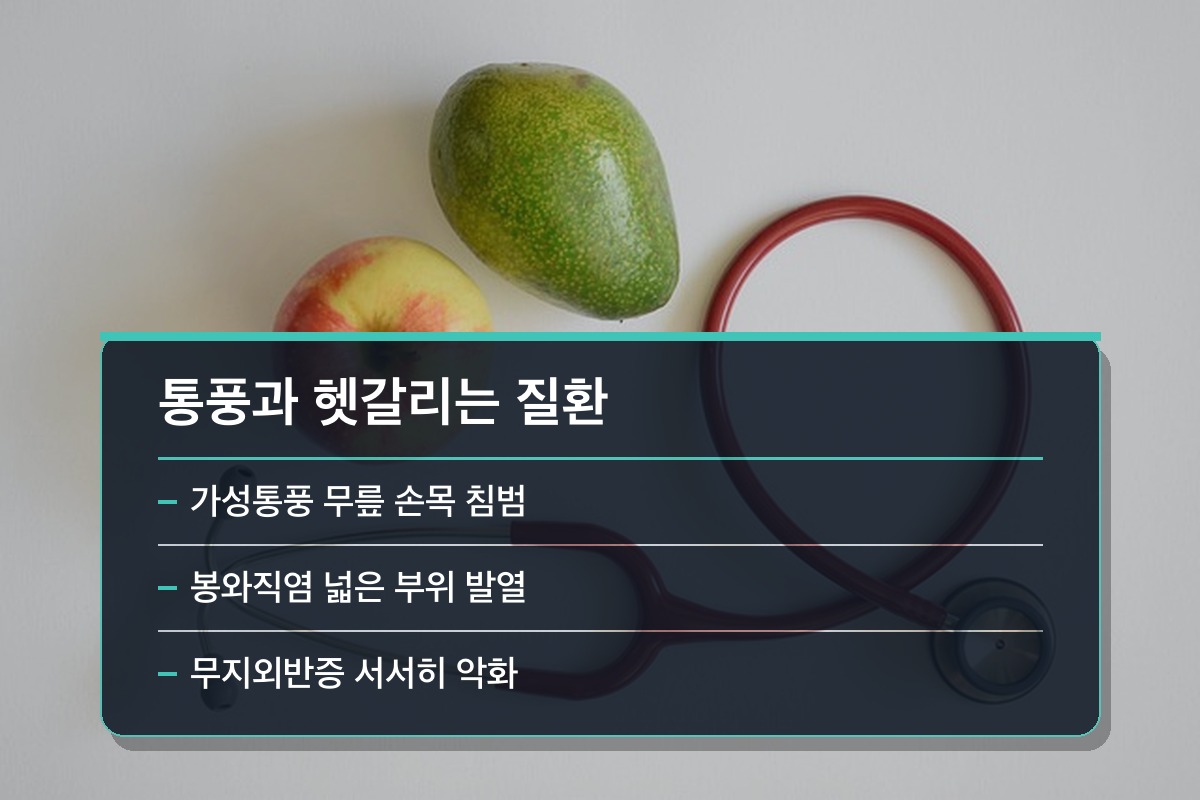 요산 수치 정상범위 통풍과 헷갈리기 쉬운 질환들, 어떻게 구별할까요?