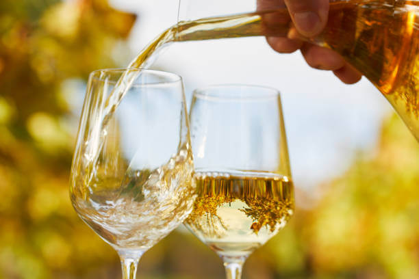 관자 버터구이 &amp; 샤르도네(Chardonnay) 와인 페어링｜고소한 버터 풍미와 묵직한 과실미의 우아한 조화
