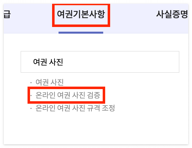 온라인 여권 사진 검증