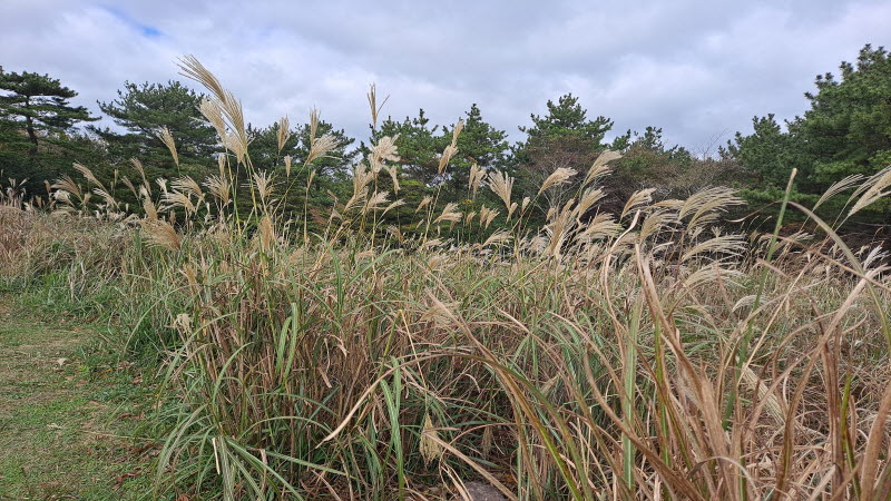 제주여행_산굼부리