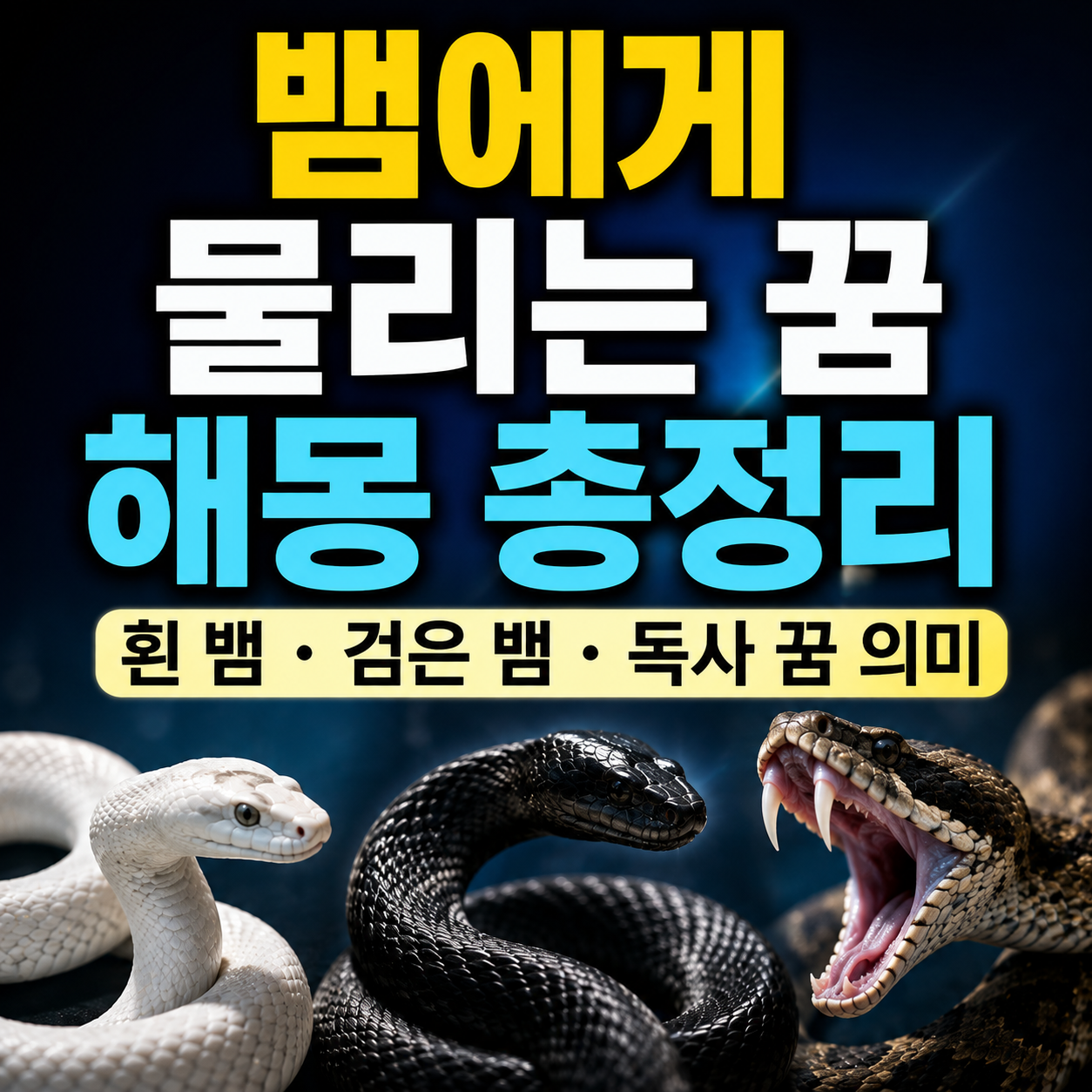 뱀에게 물리는 꿈