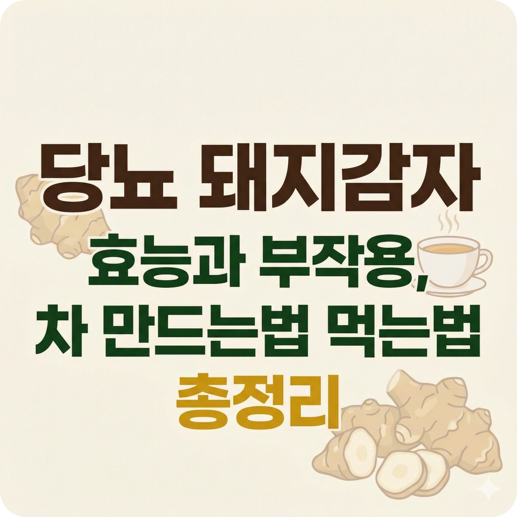 당뇨 돼지감자 효능과 부작용