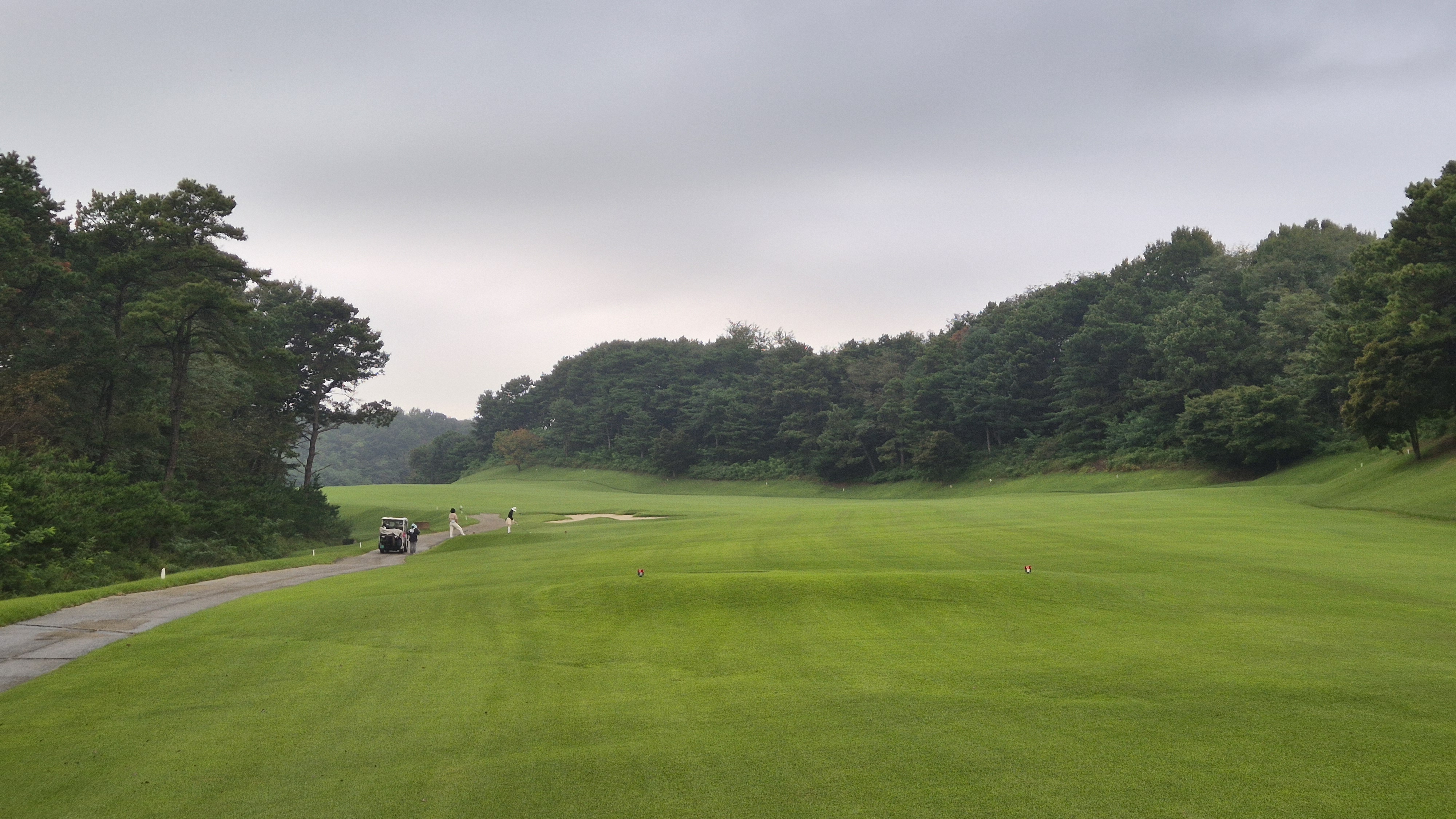 도고cc 코스 사진 및 공략 정보