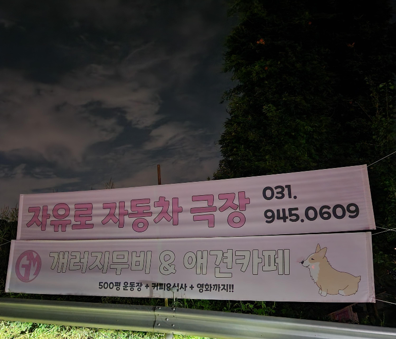 파주 자유로 자동차 극장