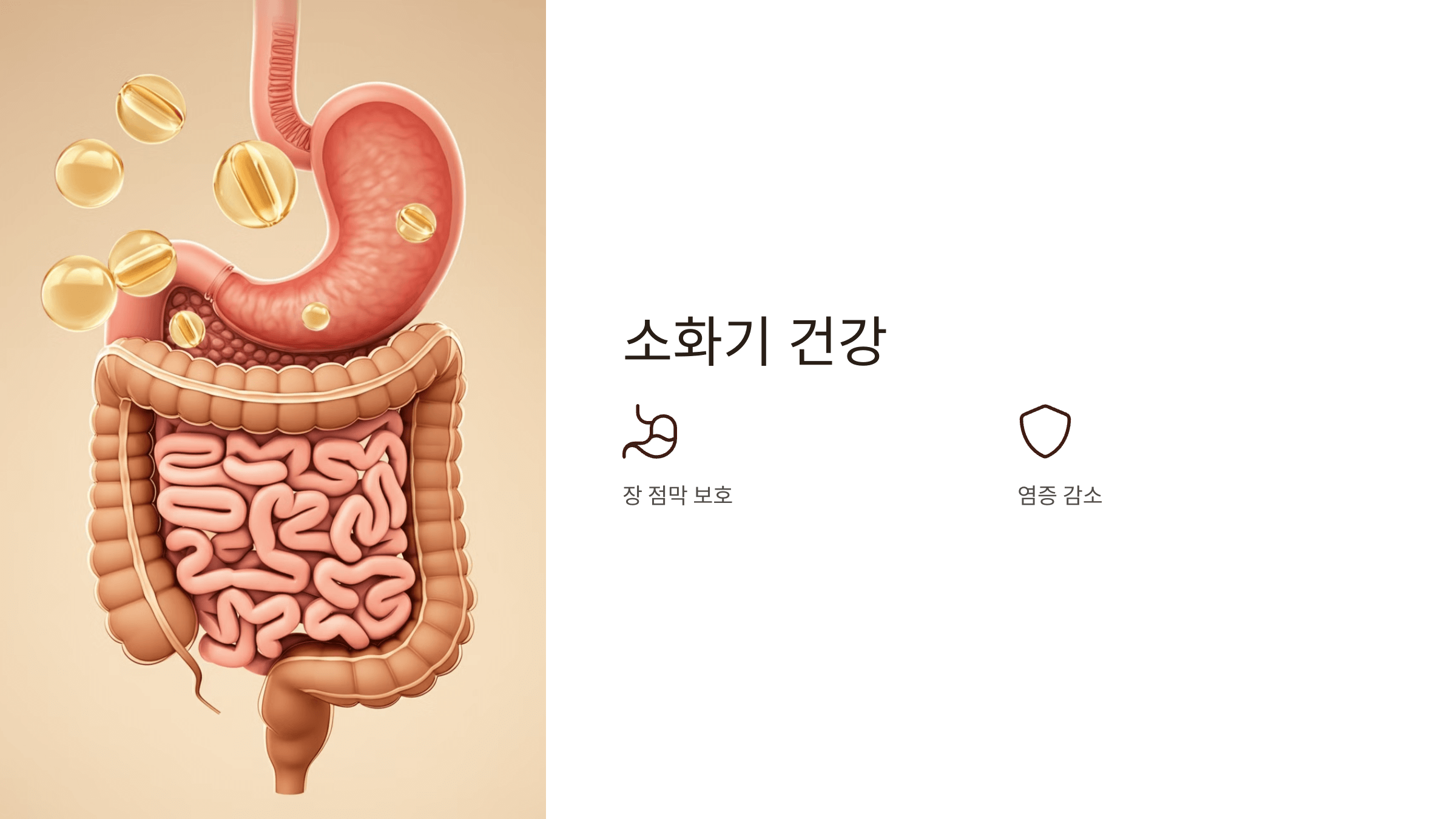식물성오메가3와 관련된 사진입니다.