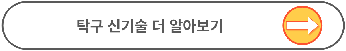 탁구 바나나플릭