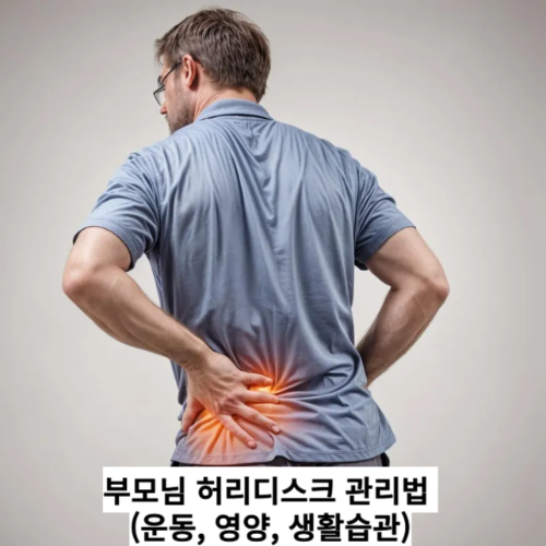 직장인 허리디스크 (의자, 자세, 스트레칭)