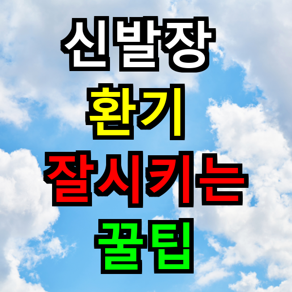 신발장 환기 잘 시키는 꿀팁