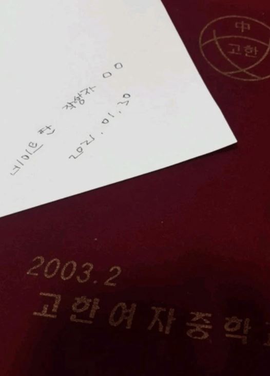 진달래 중학교 학폭