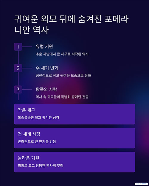 귀여운 외모 뒤에 숨겨진 포메라니안의 뿌리와 역사