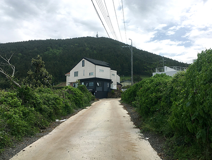 금오름-가는길3