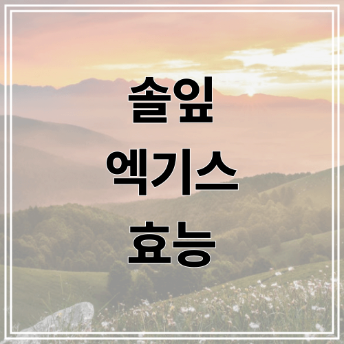 솔잎 엑기스 효능