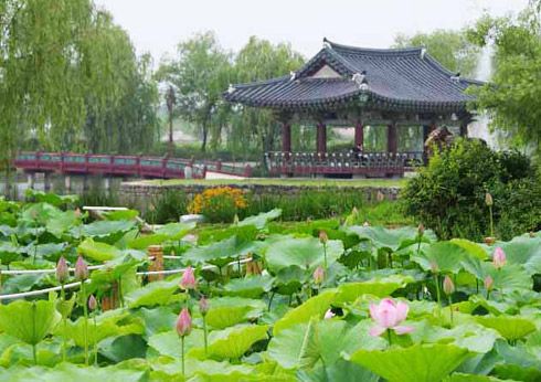 7월 국내 꽃축제 총정리