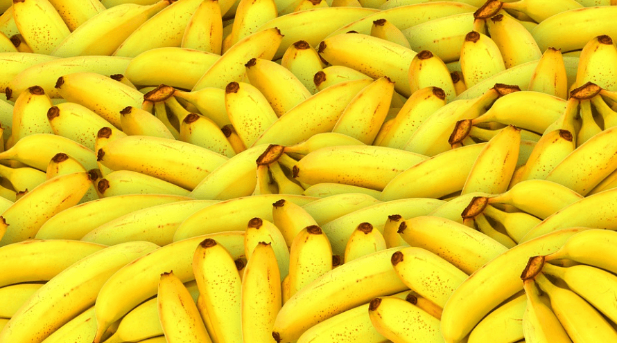 설사를 자주 하는 이유를 알아보고 설사에 좋은 음식 중에 하나 인 바나나 여러 개가 놓여 있다