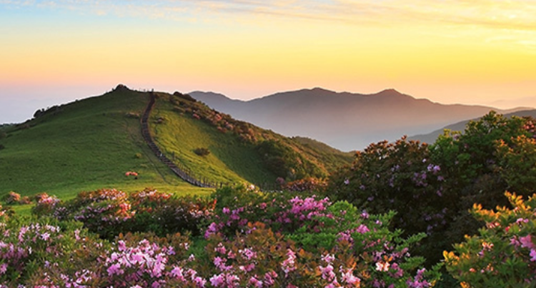 소백산 생태탐방원 전경