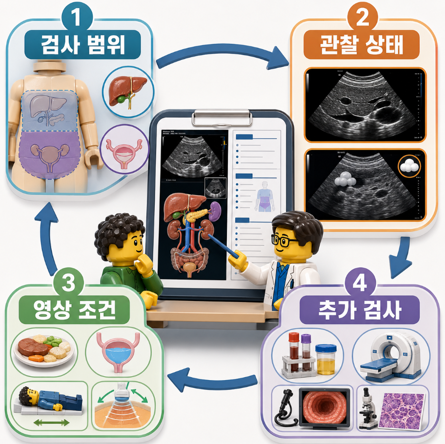 복부초음파 검사 범위와 판독지를 읽는 네 가지 순서를 정리한 요약 인포그래픽