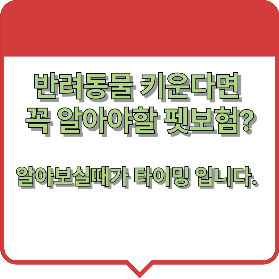 반려동물 펫보험 알아보실 때 가입해야 합니다.