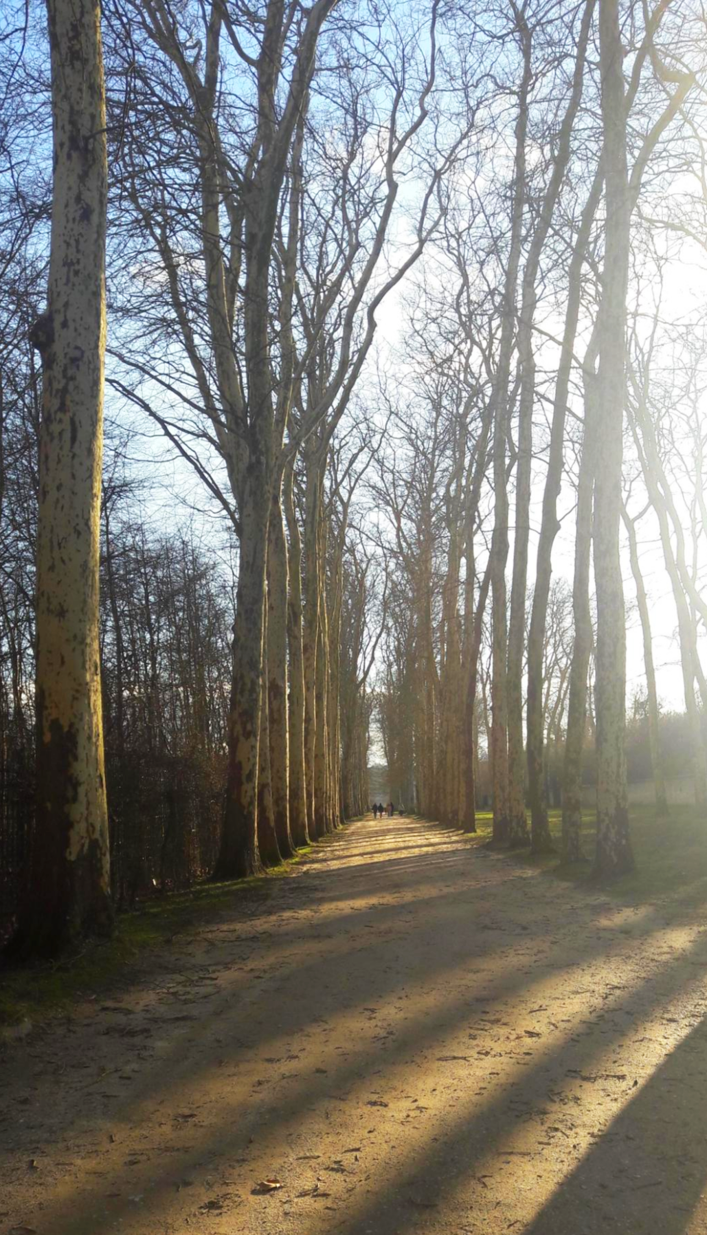 베르사유 산책로