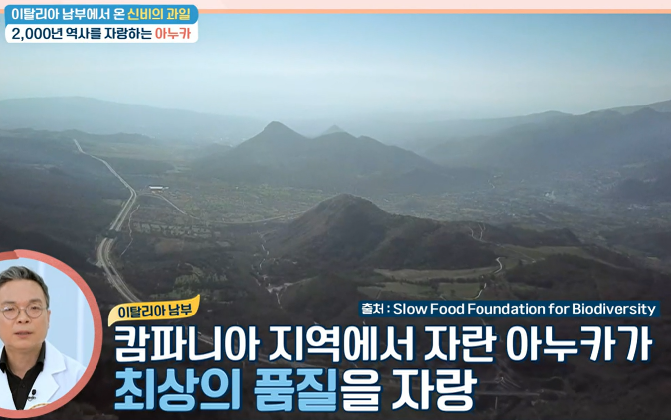 아누카사과분말