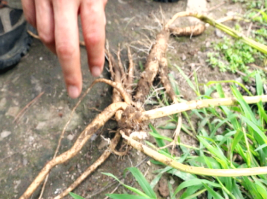 산을 못떠나는 이유