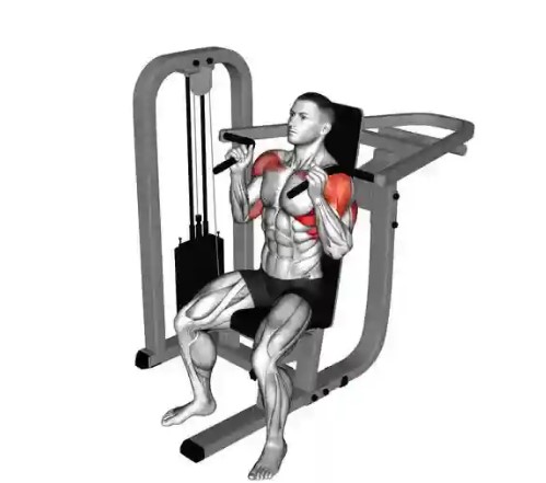 운동기구 : 어깨운동