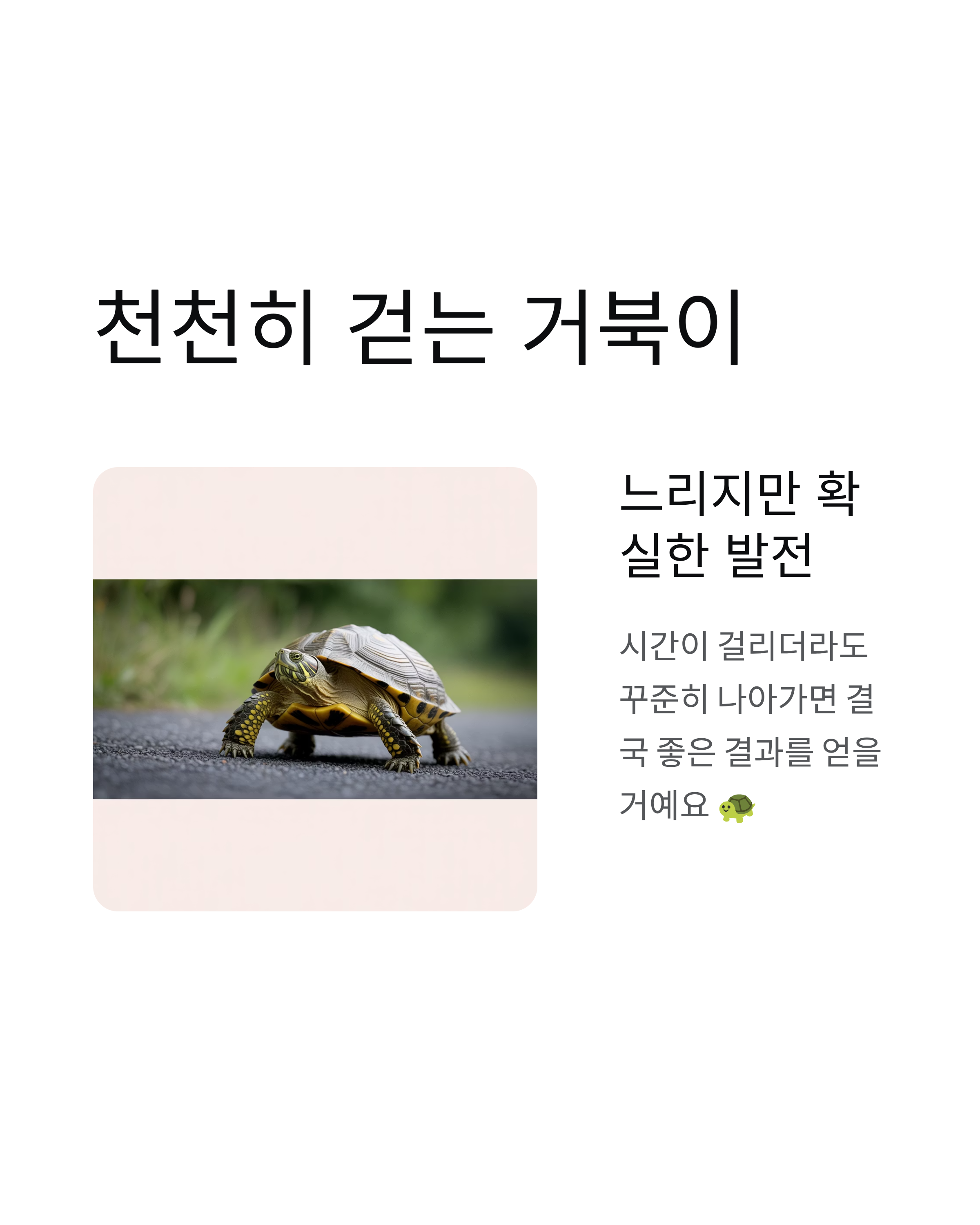거북이꿈 해몽｜거북이를 잡거나 보는 꿈, 재물운과 행운의 신호!