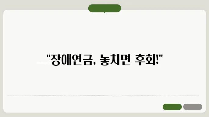 장애연금 지급대상자, 
장애연금 금액, 장애수당