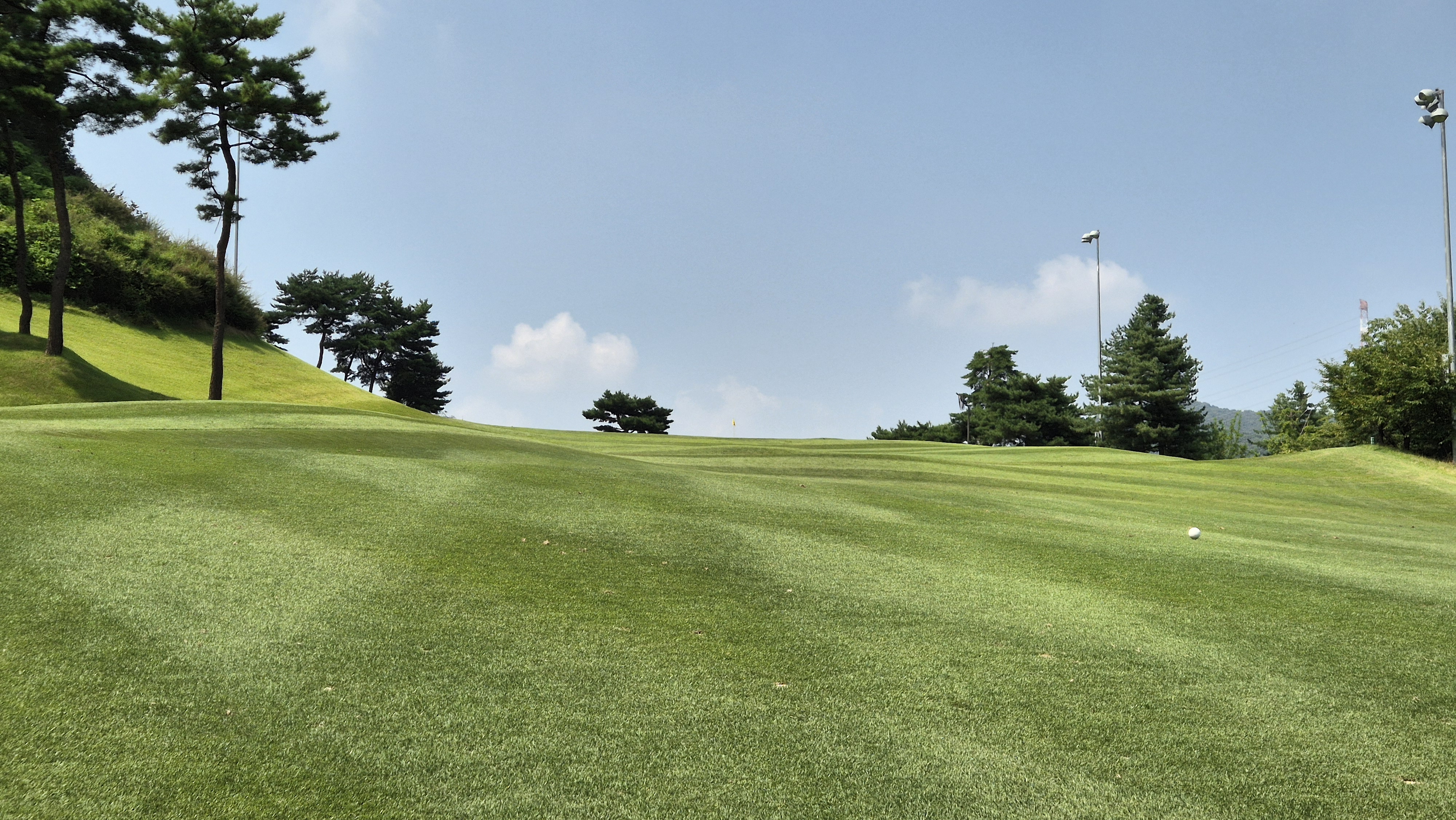 골프존카운티 안성H