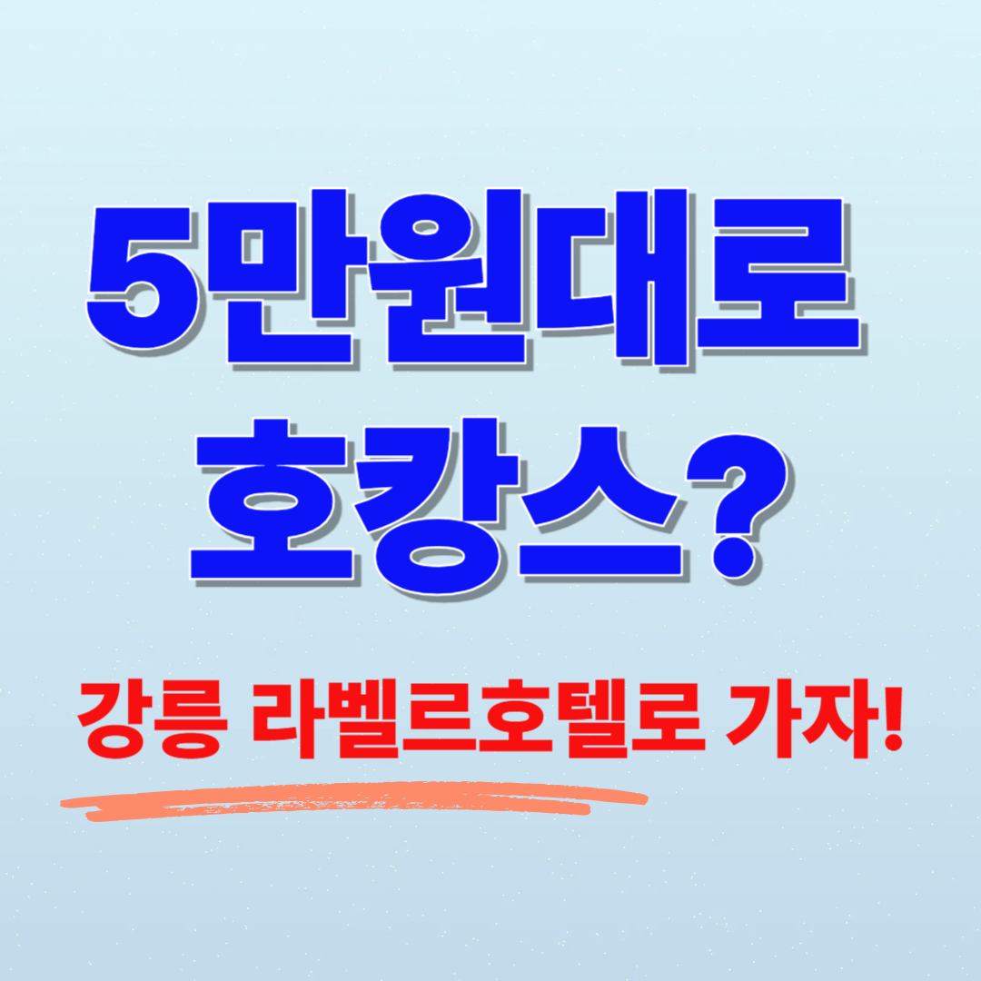 강릉 5만원대 호텔 진짜 실화냐?