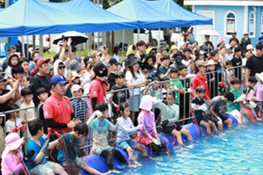 삼길포우럭축제