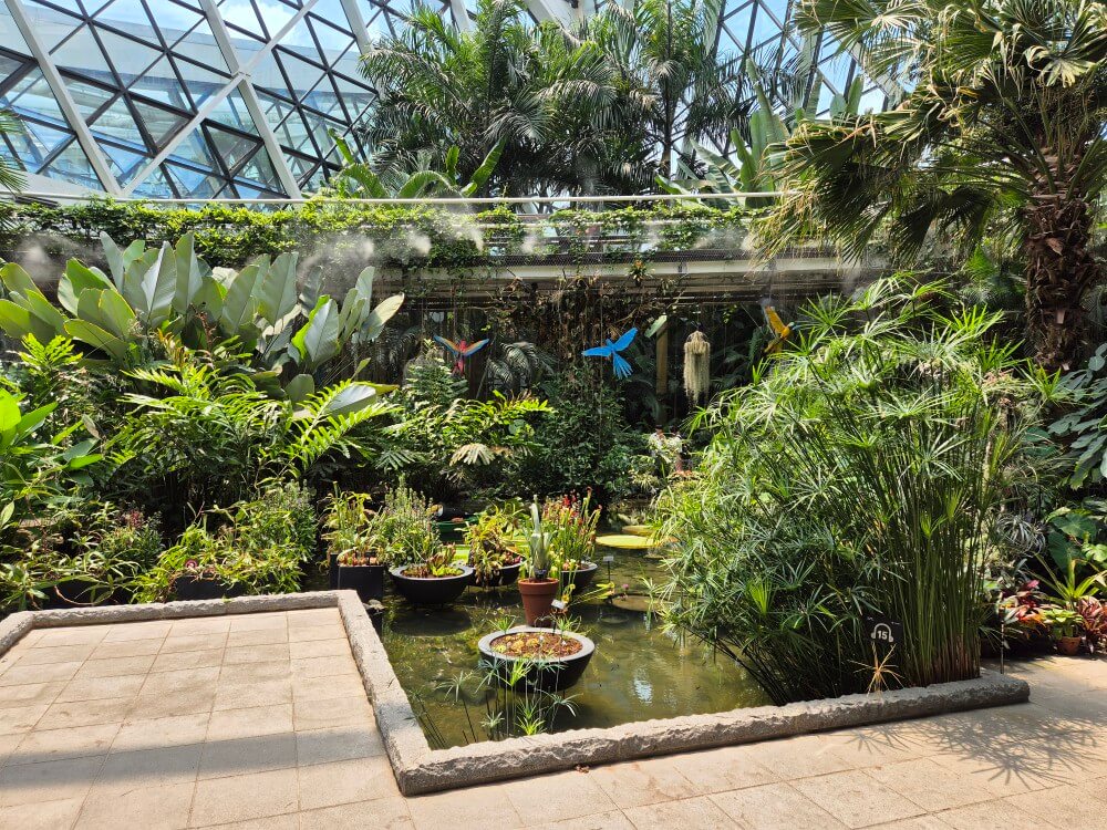 열대관 식물 사진 7