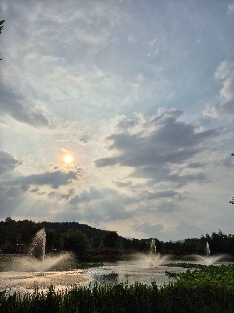 [5월 축제]창포원❘2025 거창에 온 봄 축제, 아리미아꽃축제,거창한 산양삼 축제