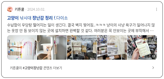 고양이 장난감 정리_2_subsection