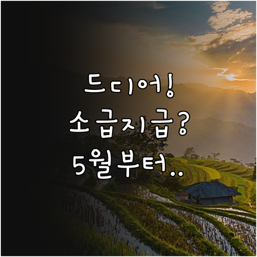 횡성군 청년월세 5월부터 소급 지급 ..