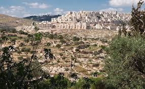 이스라엘 휴전, 이스라엘 하마스 휴전