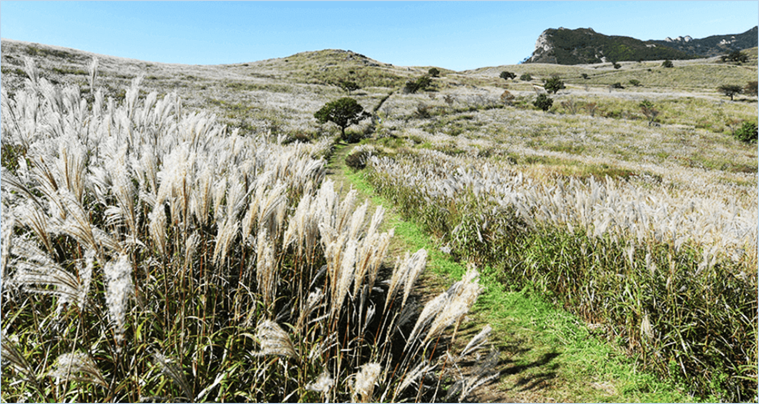 황매산-억새축제