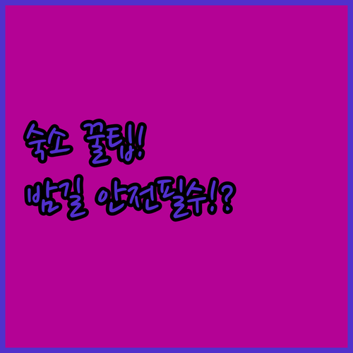 합리적인 클리시 숙소 선택 밤에도 안..