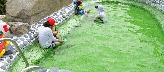 석정온천휴스파(6)