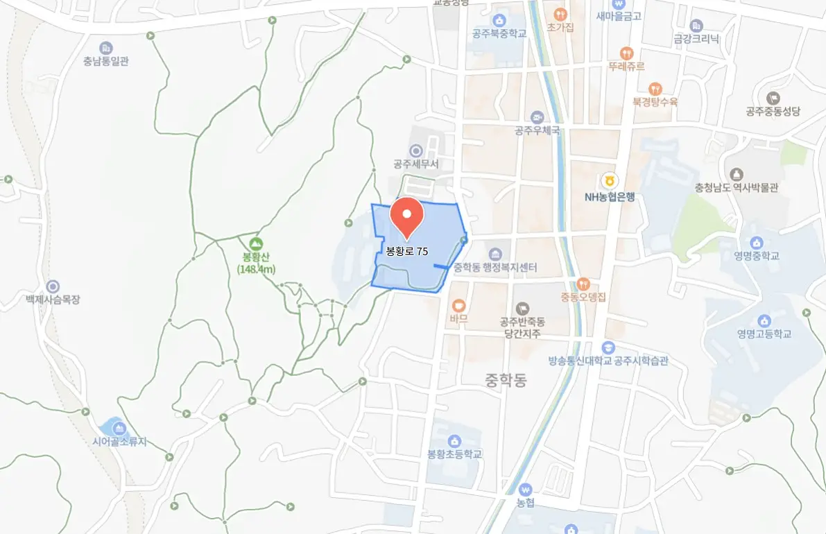 공주 페스티벌
