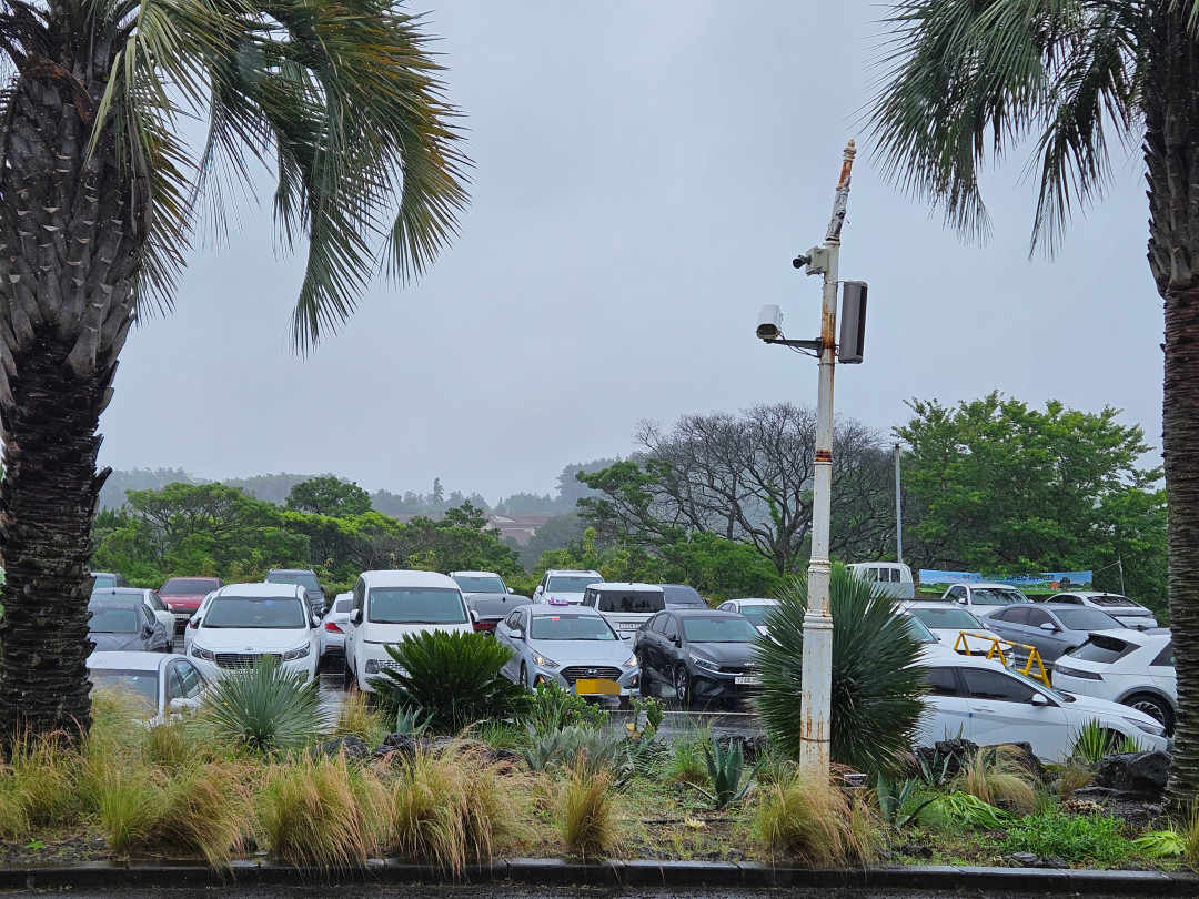 여미지 식물원 주차공간