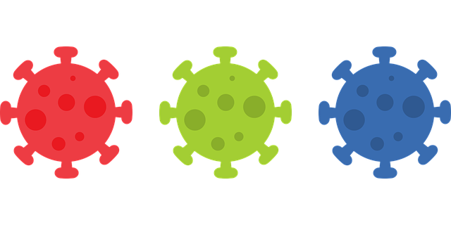 바이러스는 생명체인가