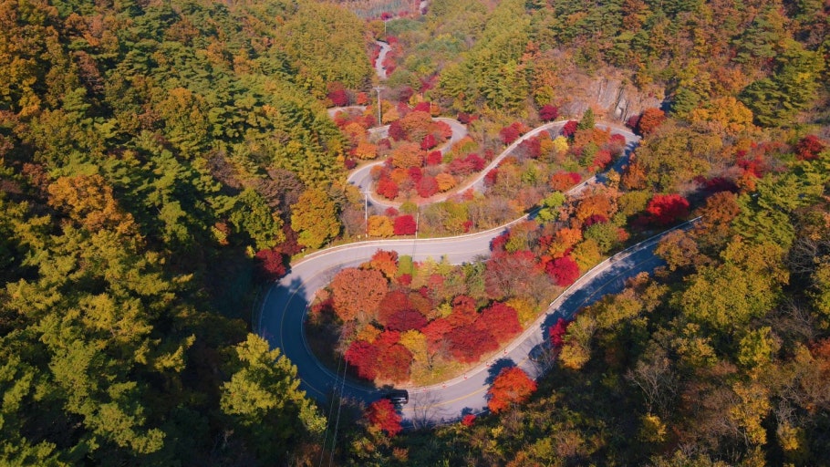 보발재
