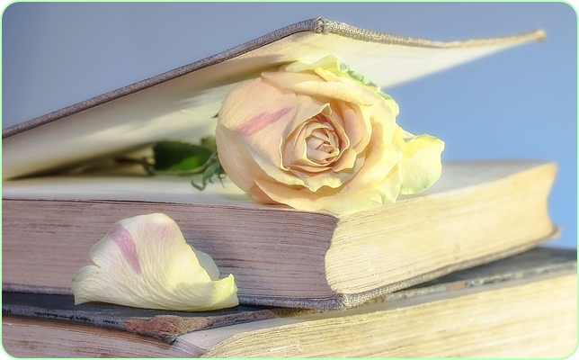 노벨문학상 한강 작품 수상작 ✅ 나이 아버지 채식주의자 고향 가족 ✅