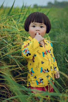 영유아 카시트에 대한 종합 안내서 안전 및 설치방법